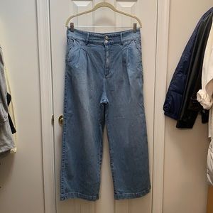 Madewell Denim Cropped Wide Leg Pants Sz 12